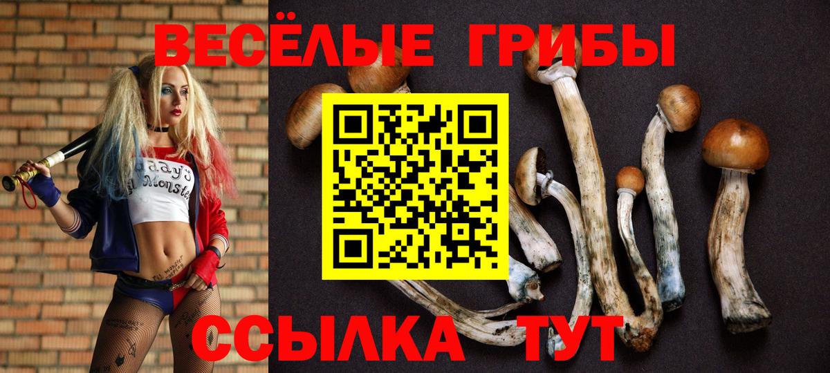 Псилоцибиновые грибы Psilocybine cubensis  Вход с VPN  Алапаевск 