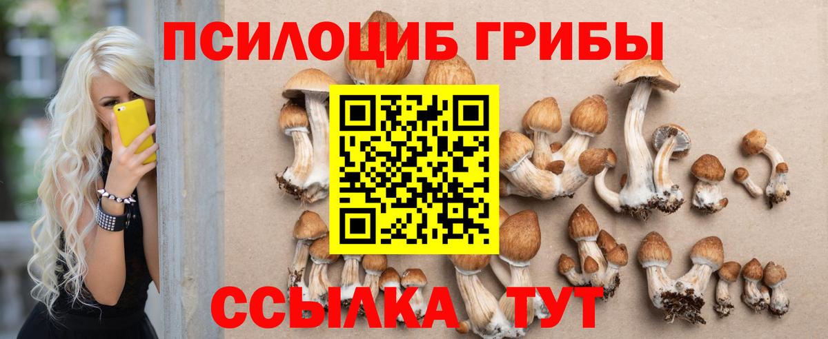 Псилоцибиновые грибы Cubensis Алапаевск